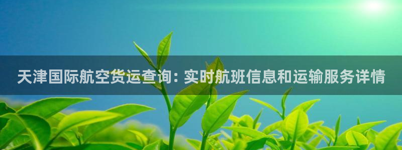 尊龙凯时注册入口：天津国际航空货运查询: 实时航班信息和