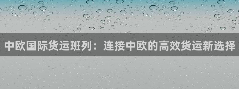 尊龙凯时人生就博官网登录：中欧国际货运班列：连接中欧的高