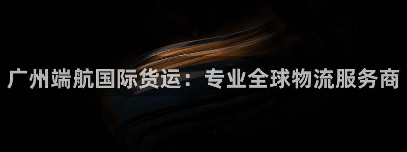 尊龙体育游戏平台：广州端航国际货运：专业全球物流服务商