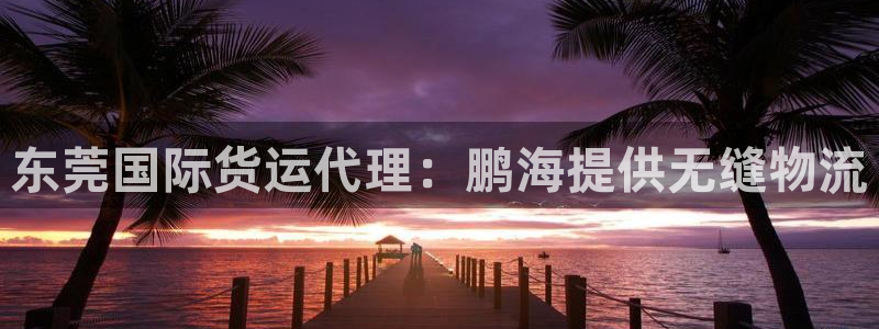 尊龙d88官网登录苹果版下载：东莞国际货运代理：鹏海提供