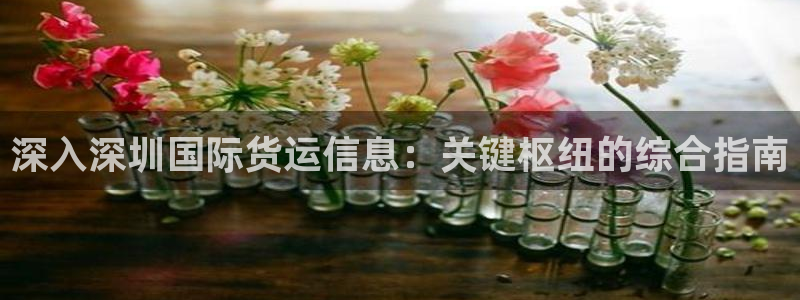 尊龙凯时老板是谁：深入深圳国际货运信息：关键枢纽的综合指