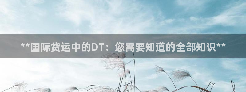 尊龙实业有限公司属于国企吗：**国际货运中的DT：您需要